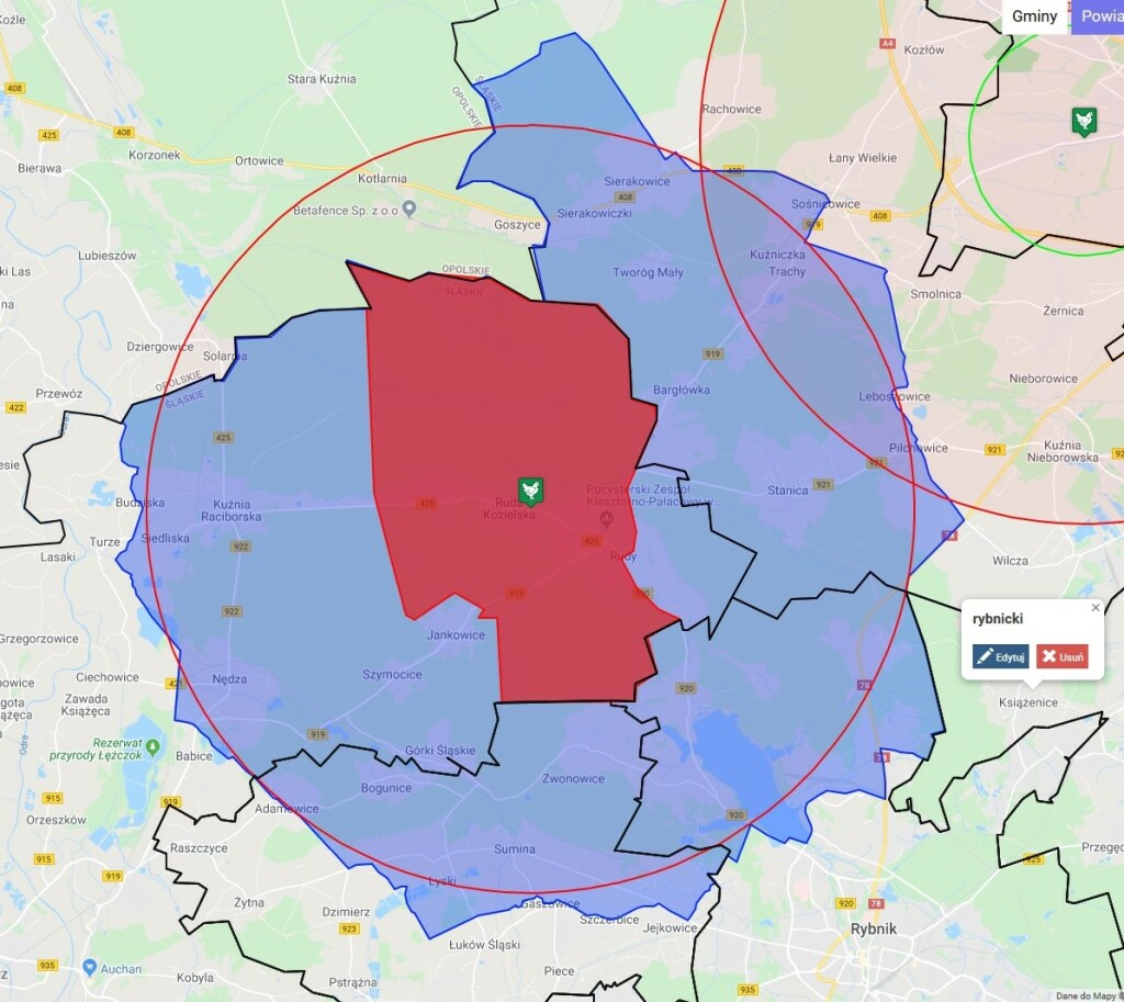 ognisko Ruda Kozielska 1 kadr